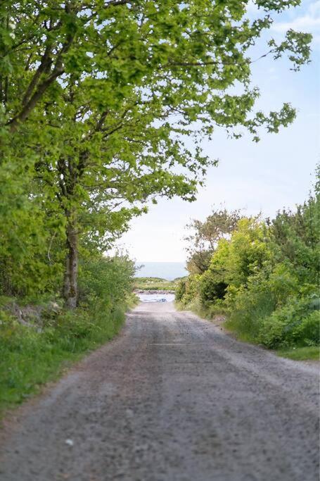 Cozy Cottage By The Sea South Of Varberg Traslovslage Exterior foto